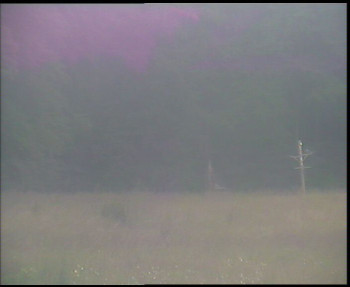 Snímek    12.7.2025 v 20:15