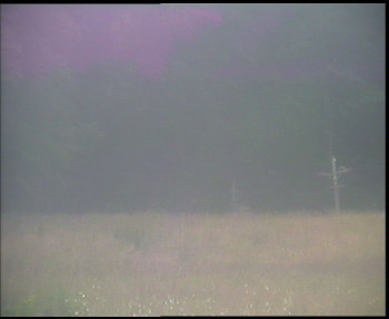 Snímek    13.7.2025 v 05:45