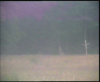 Snímek    13.7.2025 v 06:00