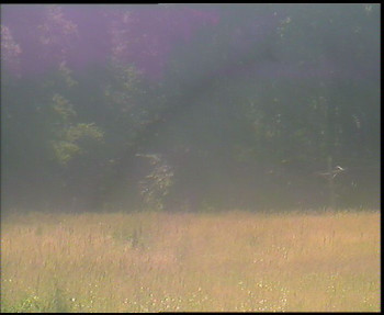 Snímek    13.7.2025 v 10:30