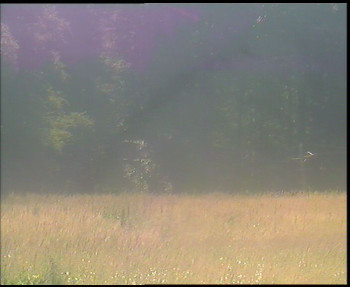 Snímek    13.7.2025 v 10:45