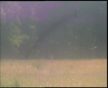 Snímek    13.7.2025 v 11:30