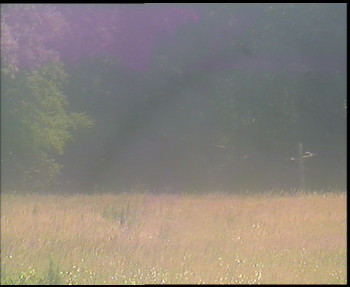 Snímek    13.7.2025 v 12:45
