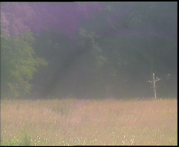 Snímek    13.7.2025 v 13:45