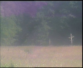 Snímek    13.7.2025 v 15:45