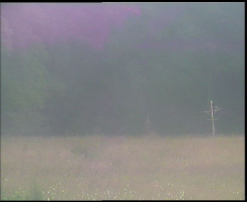 Snímek    13.7.2025 v 16:00