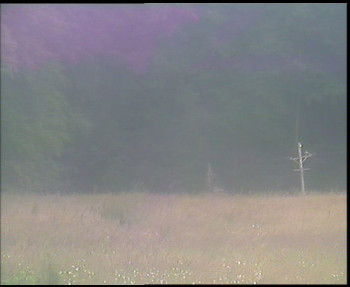 Snímek    13.7.2025 v 16:30