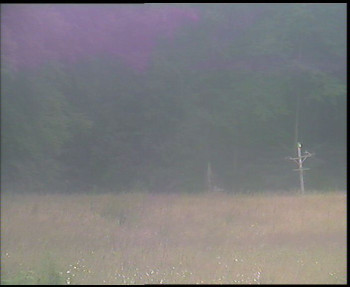 Snímek    13.7.2025 v 17:30