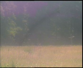 Snímek    14.7.2025 v 11:30