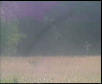 Snímek    16.7.2025 v 13:30