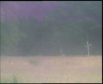 Snímek    16.7.2025 v 17:00