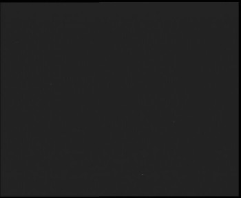 Snímek    13.9.2025 v 19:45