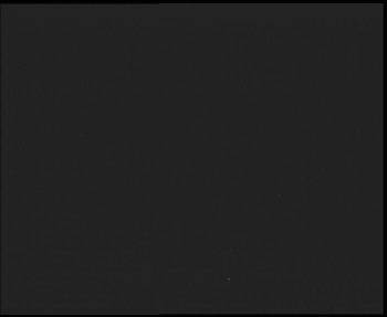 Snímek    13.9.2025 v 21:45