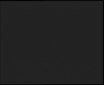 Snímek    14.9.2025 v 03:45