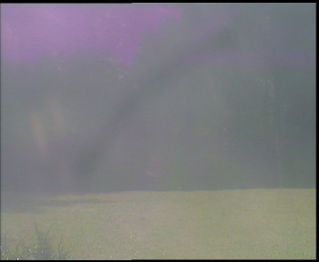Snímek    17.9.2025 v 09:30