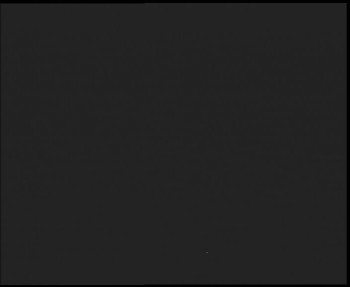 Snímek    24.10.2025 v 05:00