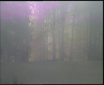 Snímek    29.10.2025 v 08:30