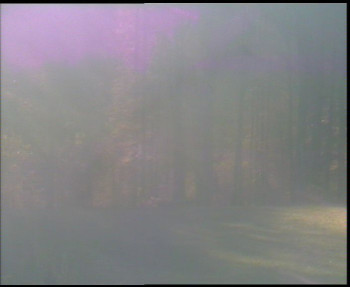 Snímek    31.10.2025 v 07:30