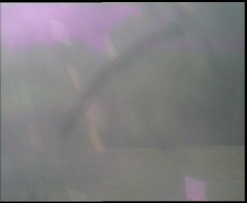 Snímek    31.10.2025 v 08:00