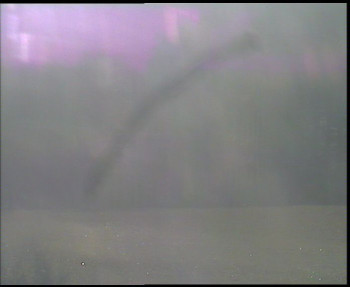 Snímek    31.10.2025 v 08:45