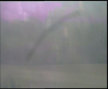 Snímek    31.10.2025 v 09:00