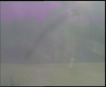 Snímek    31.10.2025 v 10:00