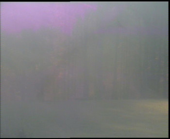 Snímek    1.11.2025 v 07:30