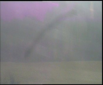 Snímek    1.11.2025 v 09:30