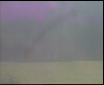 Snímek    1.11.2025 v 11:00