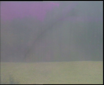 Snímek    1.11.2025 v 11:45