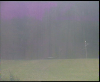 Snímek    2.11.2025 v 13:00