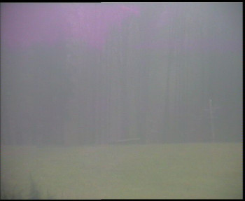 Snímek    3.11.2025 v 08:00