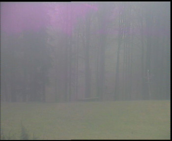 Snímek    3.11.2025 v 11:00