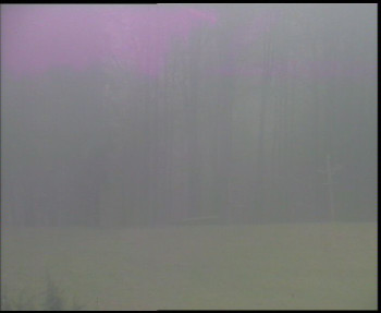 Snímek    3.11.2025 v 13:15