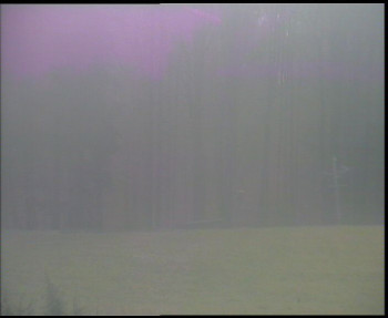 Snímek    4.11.2025 v 07:00