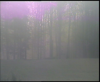 Snímek    4.11.2025 v 07:30