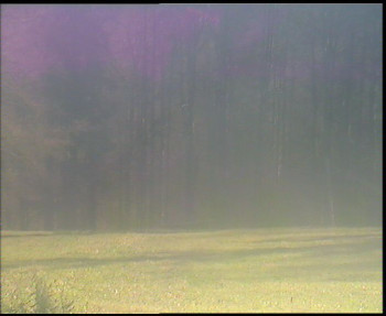 Snímek 5.11.2025 v 13:00