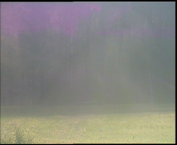 Snímek 5.11.2025 v 13:45