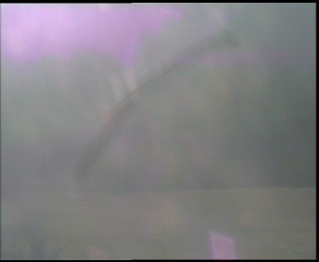 Snímek 6.11.2025 v 08:15