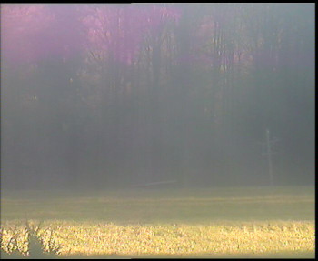 Snímek 6.11.2025 v 14:30