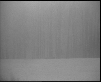 Snímek 7.11.2025 v 06:30