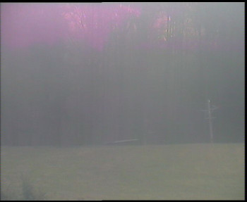 Snímek 7.11.2025 v 15:30