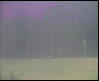 Snímek    8.11.2025 v 13:30