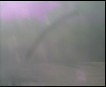 Snímek    9.11.2025 v 08:00