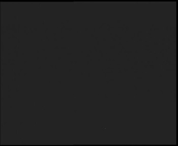 Snímek 14.11.2025 v 04:15