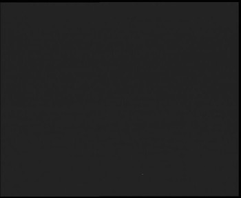 Snímek 15.11.2025 v 17:00