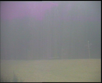 Snímek 17.11.2025 v 15:00