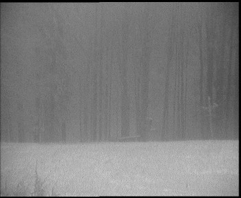 Snímek 18.11.2025 v 06:45