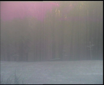 Snímek    18.11.2025 v 07:45