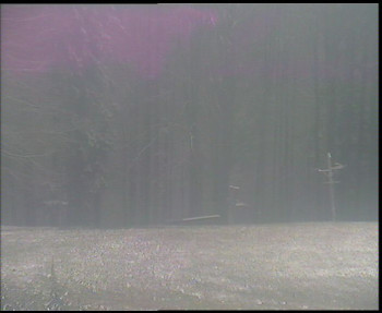 Snímek    18.11.2025 v 15:30